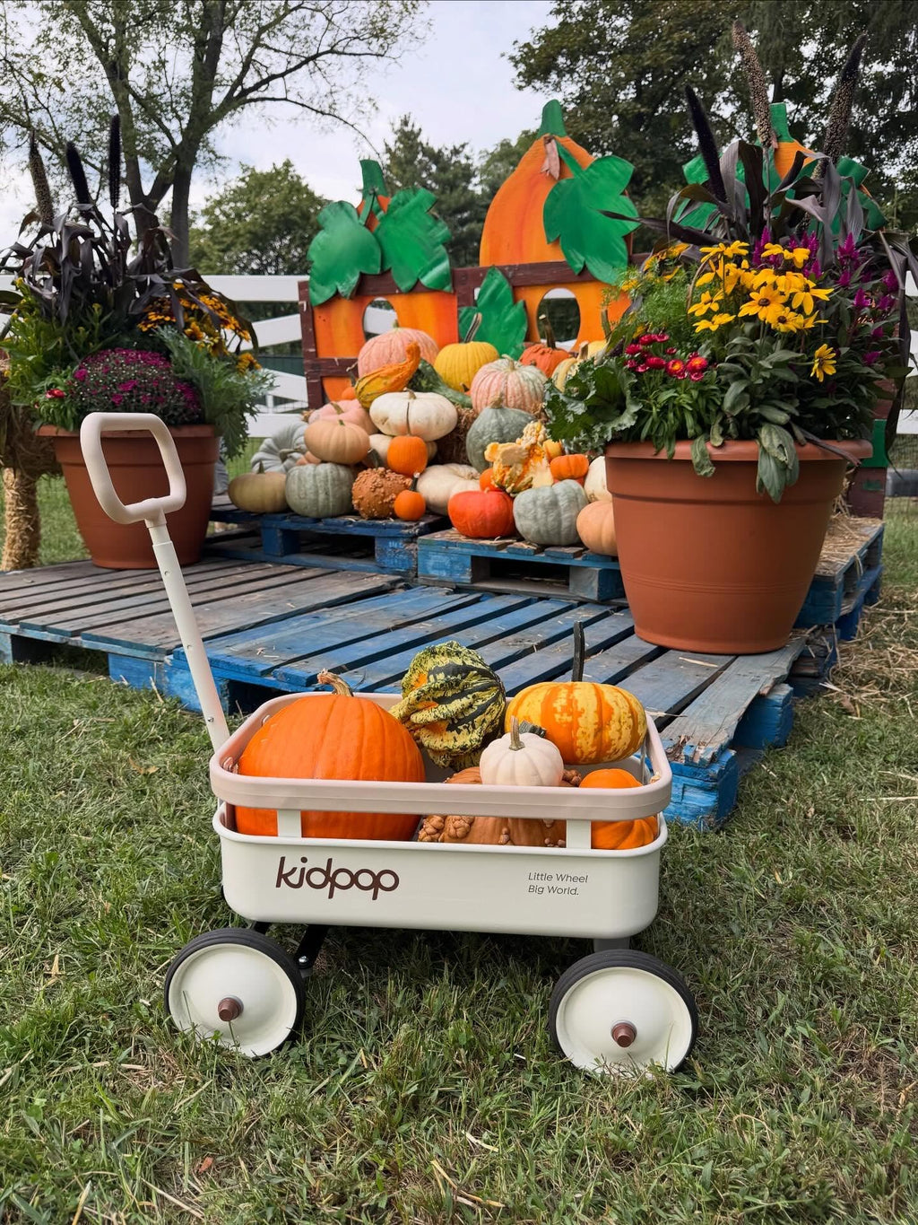 New kidpop PULA-Wild 3-in-1 Kids Push Walker  Pull-Along Wagon with Removable Wooden Cover. Retail $99.00