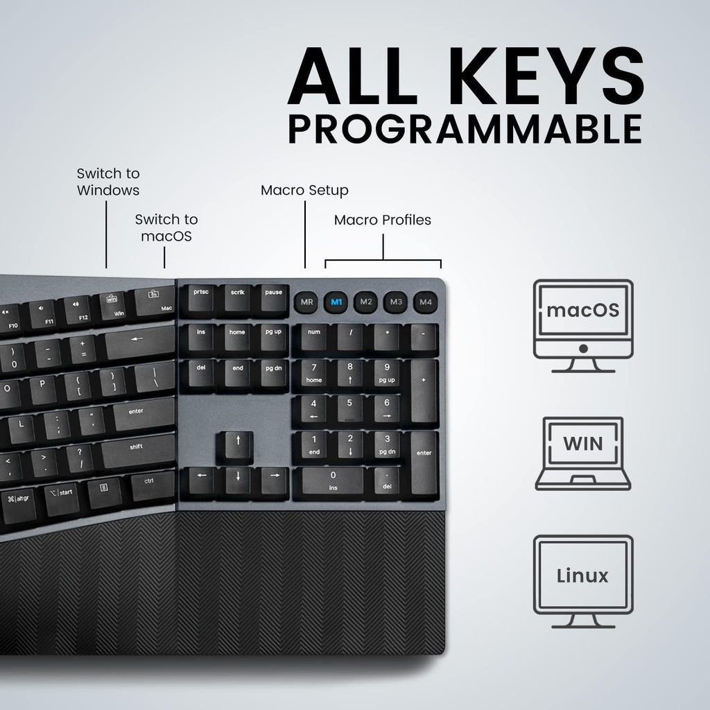 Perixx PERIBOARD-535BL Wired Ergonomic Mechanical Full-Size Keyboard - Low-Profile Blue Clicky Switches Programmable Feature with Macro Keys Compatible Windows and Mac OS X US English, Black Retail $89.00